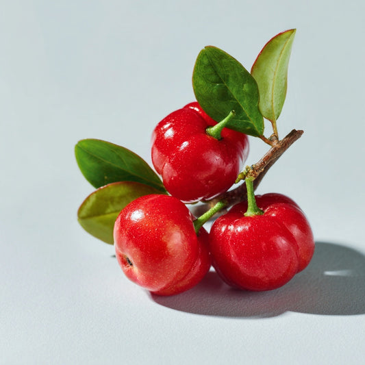 Acerola