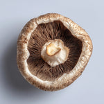 Shiitake