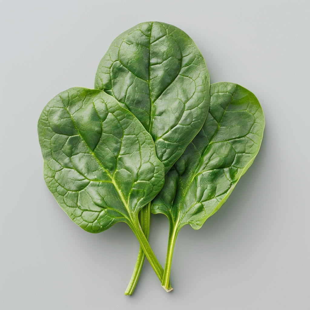 Espinaca