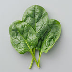 Espinaca