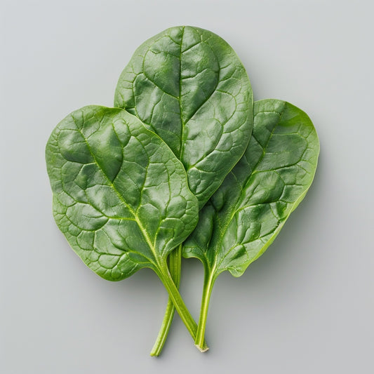Espinaca