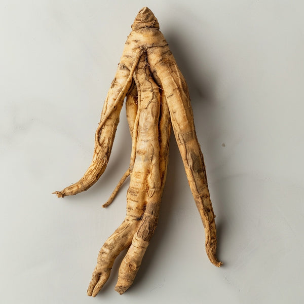 Ginseng siberiano