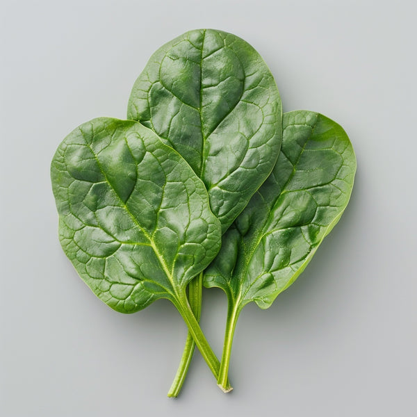 Espinaca