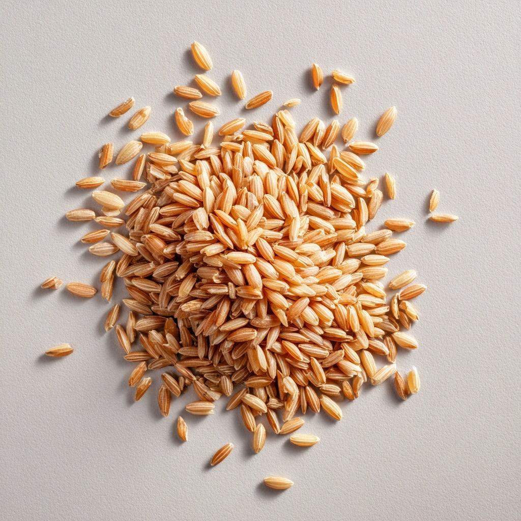Péptidos de arroz