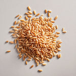 Péptidos de arroz
