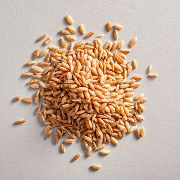 Péptidos de arroz